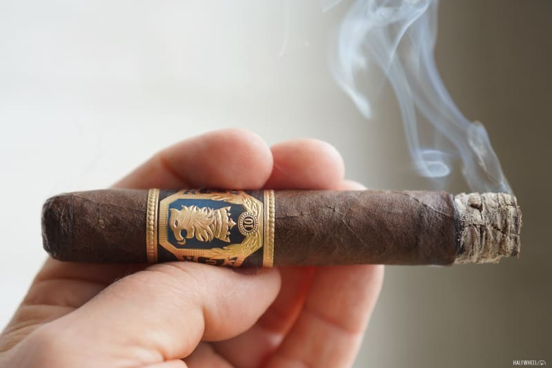 Undercrown 10 Robusto Image