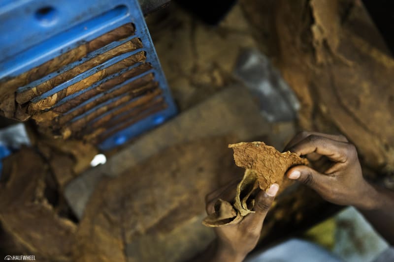 Report: Premium Cigar Imports Near 2022 Levels Through Q3 2023 Image