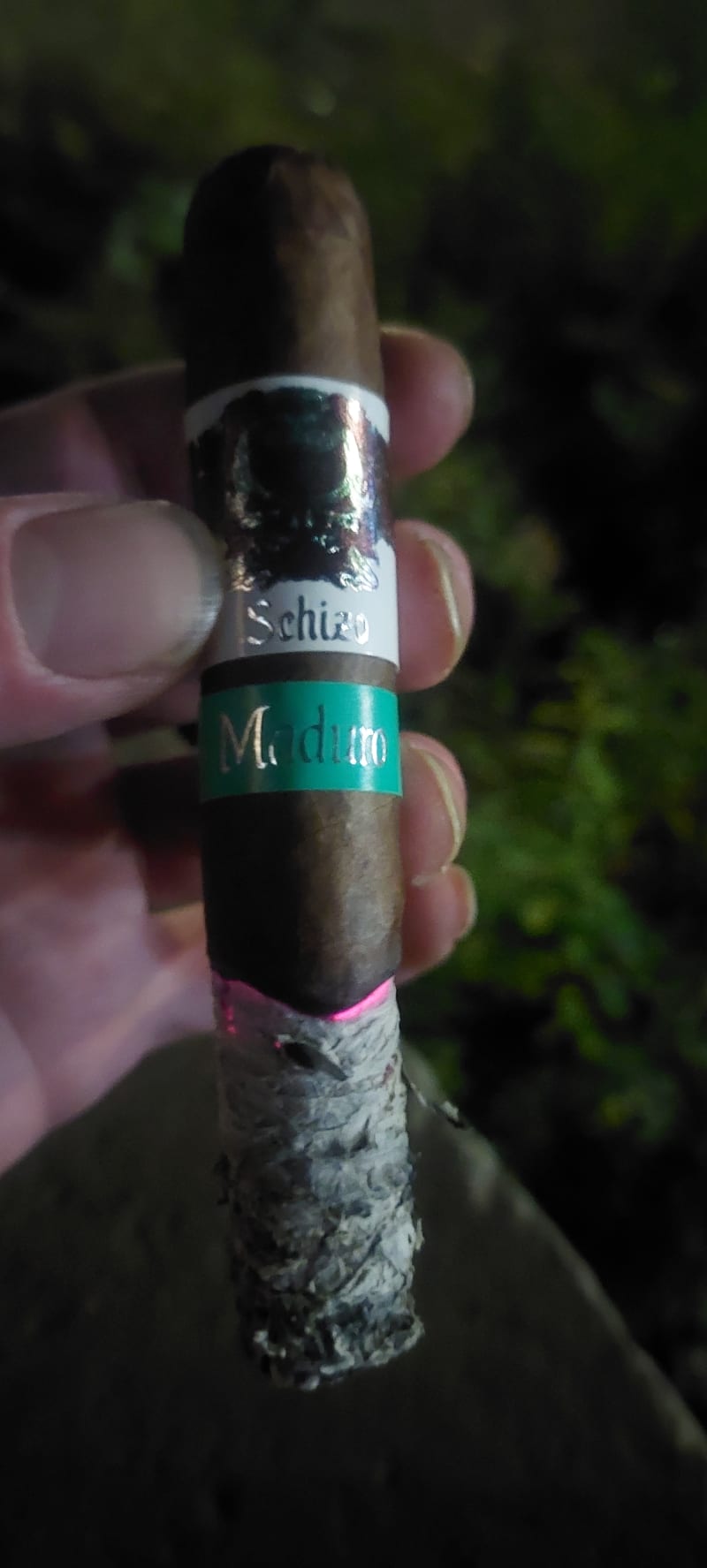 17007098295251440216257646098134 v2