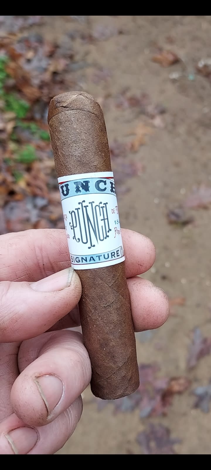 Screenshot 20221231 153459 Gallery