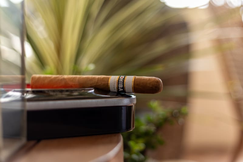 Cohiba v2.Bacara 2