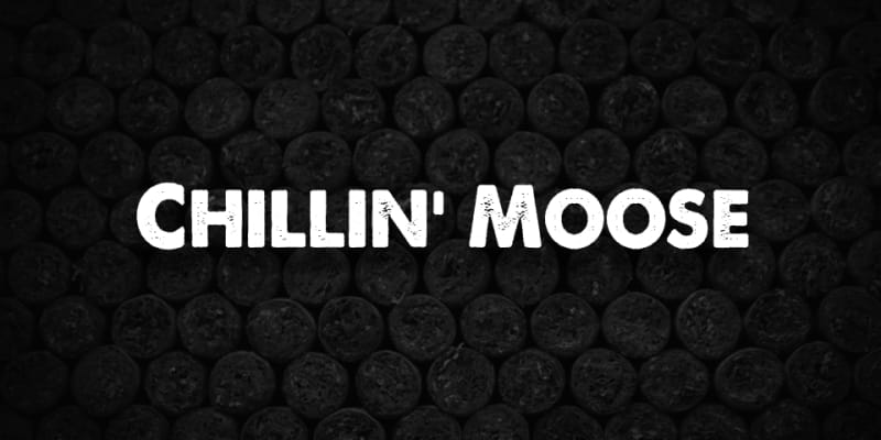 Chillin Moose fallback