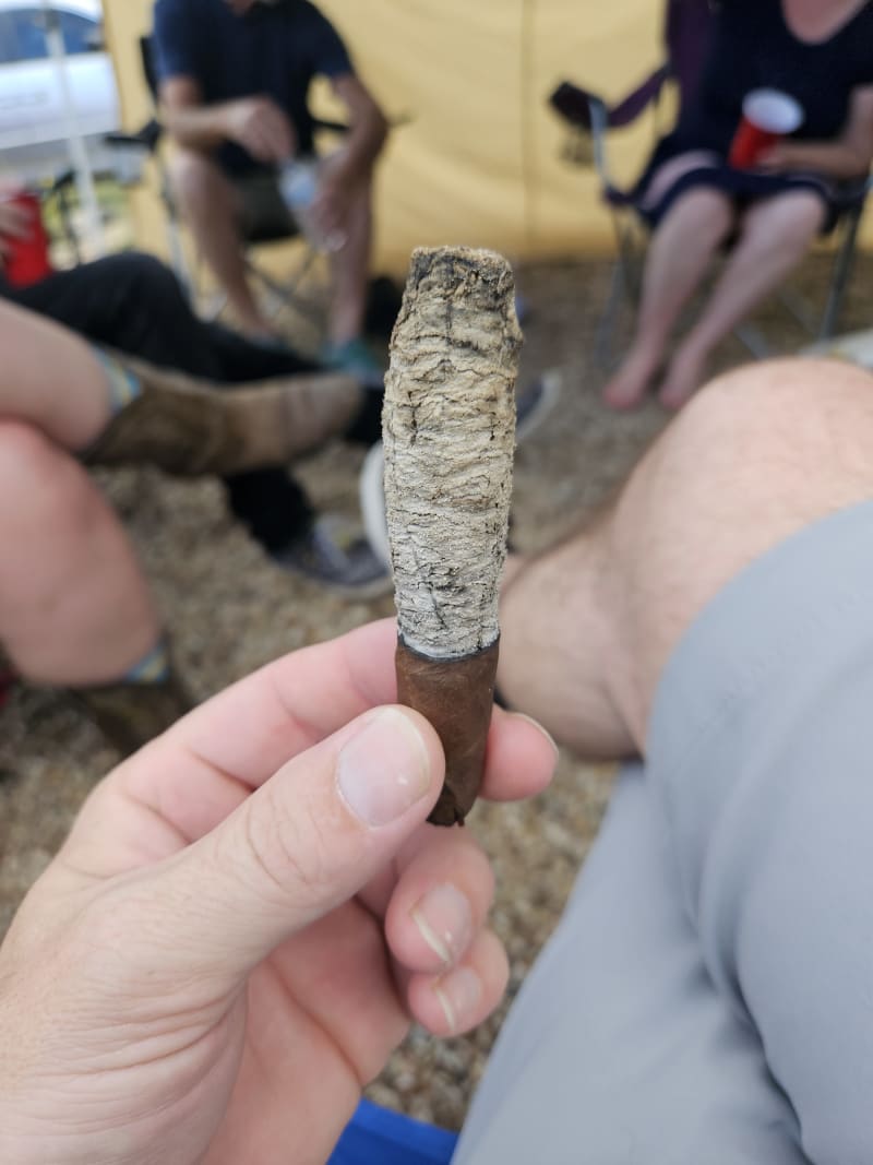 Punch Dad Bod Cigars Cigar Reviews Cigar World