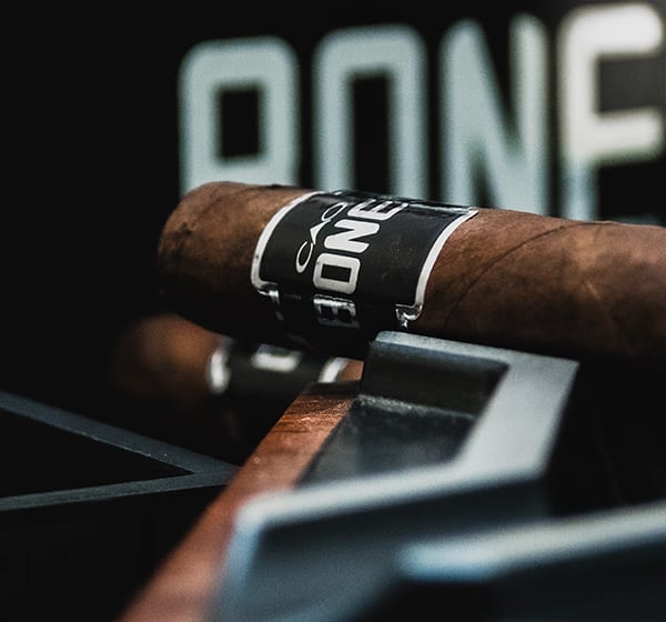 CAO Bones Thumbnail