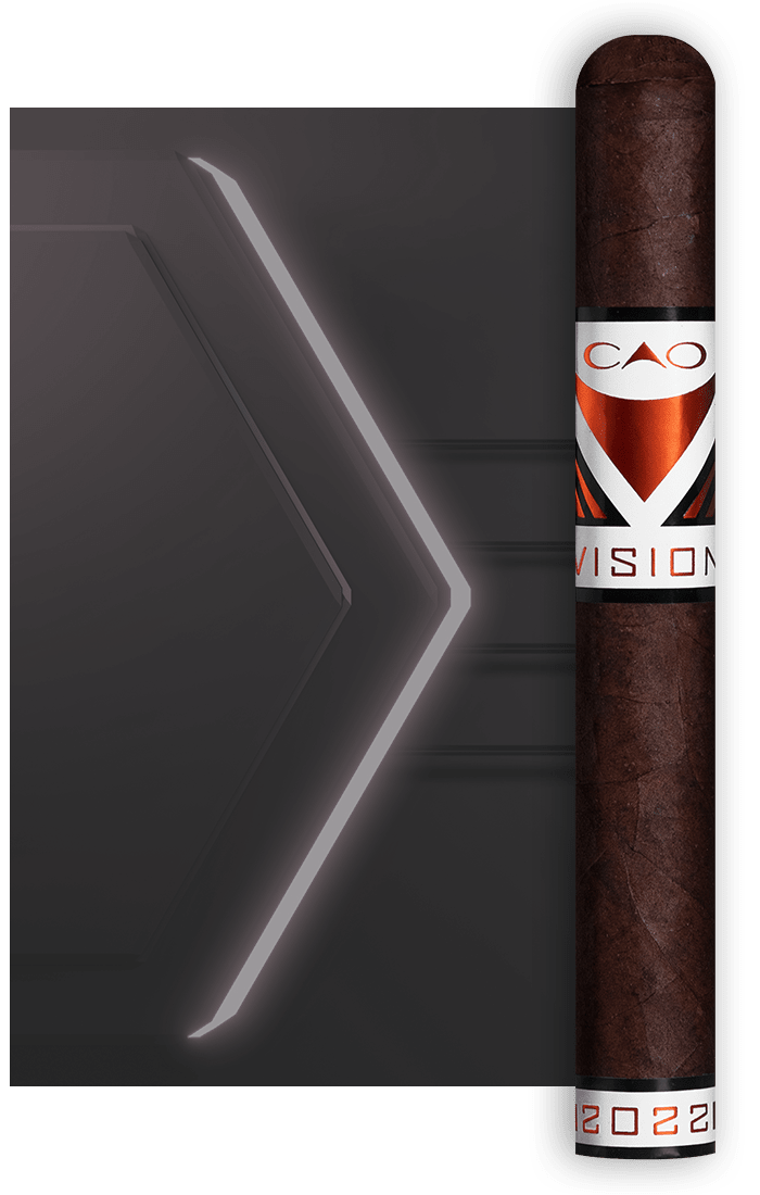 Vision 2022 Stick Image