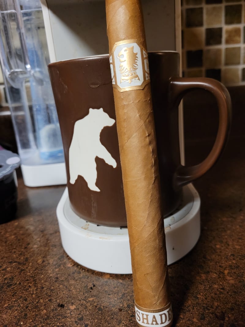 Liga Undercrown CT Shade 2