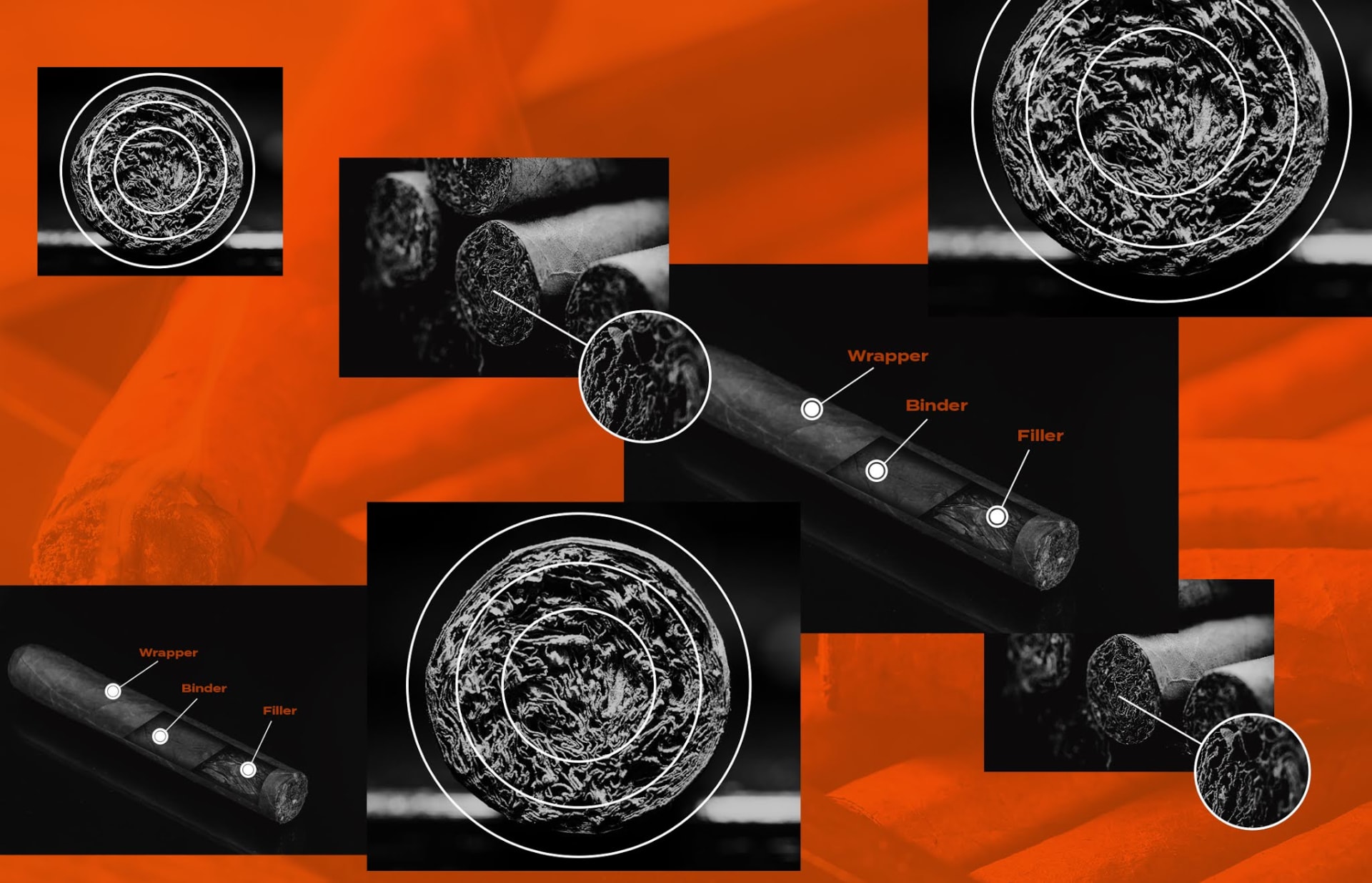A Complete Guide To The Anatomy Of Cigars Featured Image