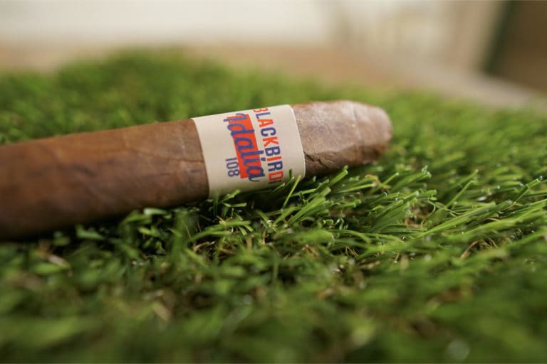 Blackbird Adding Idalia 108 Next Month Image