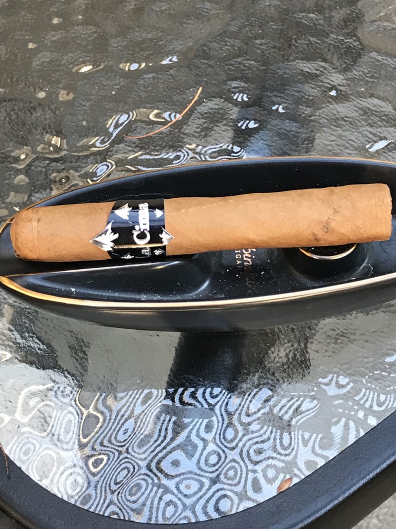 7744E865 41B9 4D0C 8D5A 7E5B6CA8CD0E