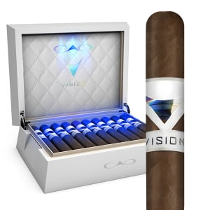 Vision 2020 Box Image