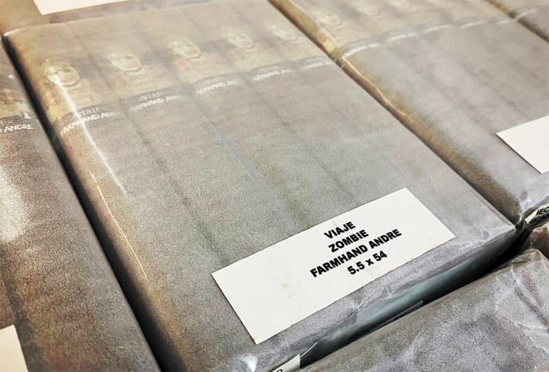 Viaje to Ship Zombie Farmhand Andre and Birthday Blend Image