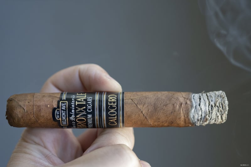 A Bronx Tale Calogero Robusto Image