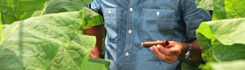 The Man Behind Macanudo Image