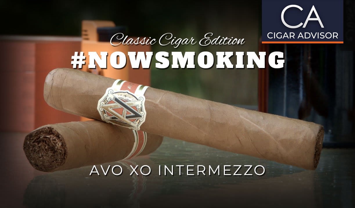 #nowsmoking: Avo XO Intermezzo Featured Image