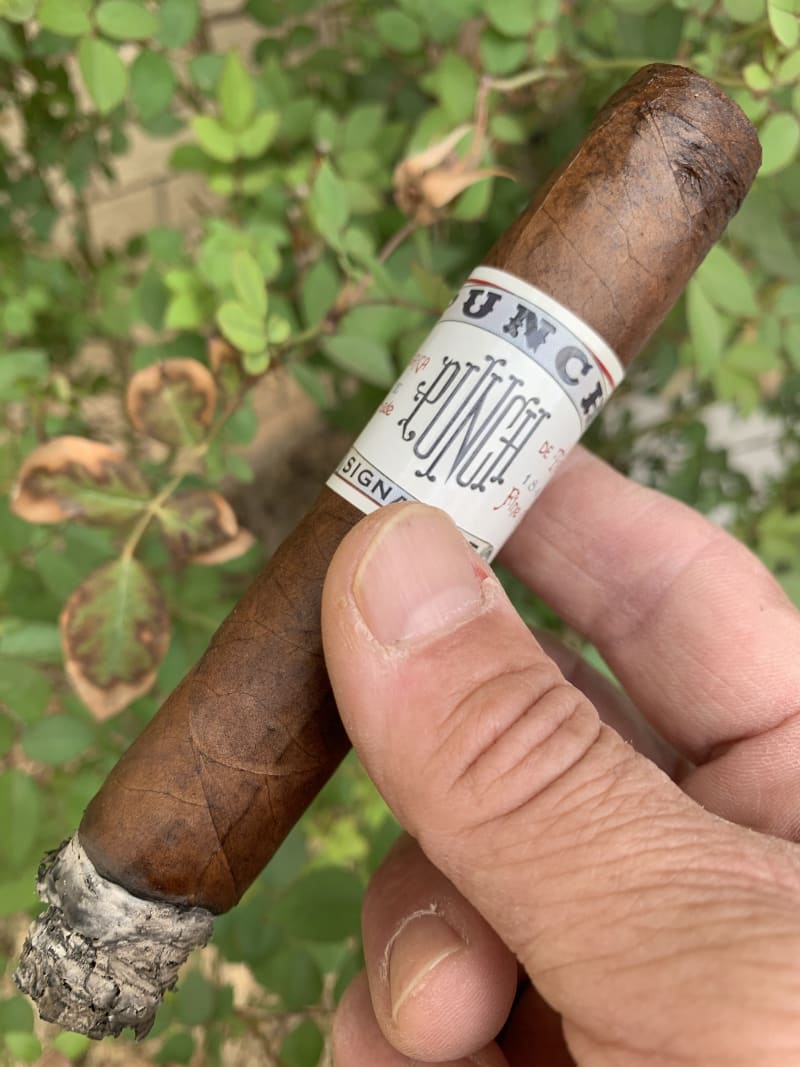 4131ED01 C5E5 4D68 8DDA 1811AD2CF436