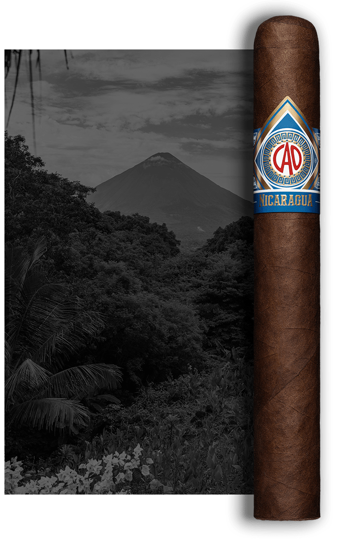 CAO Nicaragua Stick Image