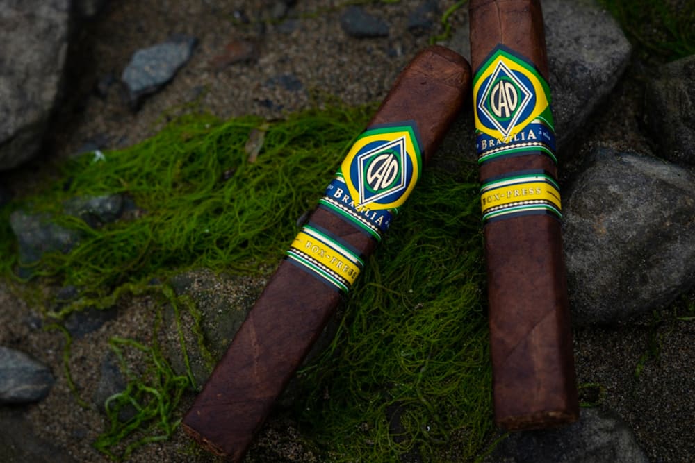 Brazilia Image 2