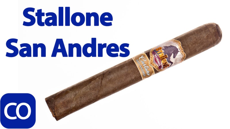 Stallone Castano San Andres Cigar Review Image