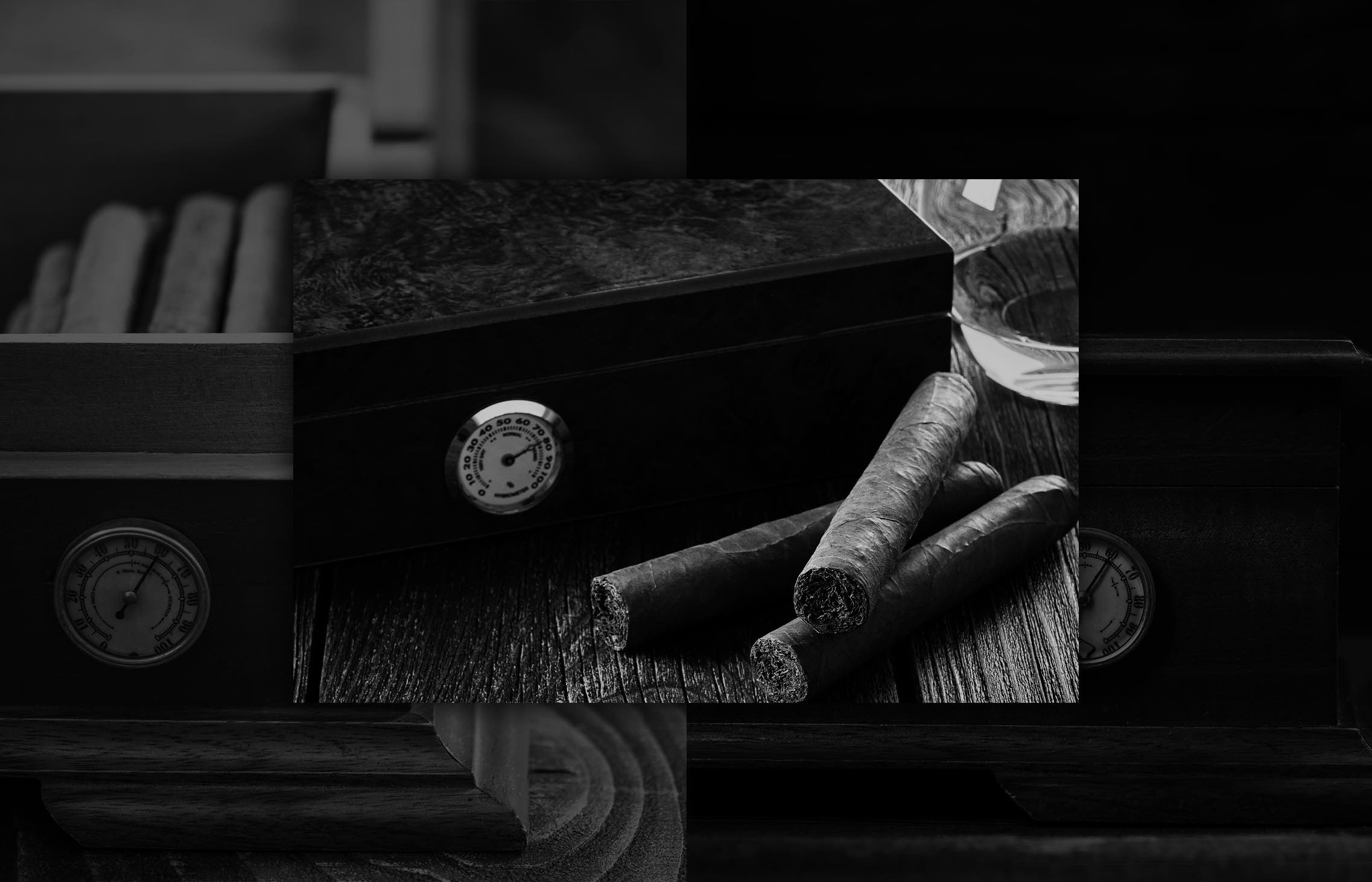 10 Best Desktop Humidors for 2022 Cigar World