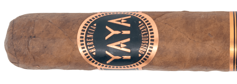 United Cigars YAYA Short Robusto – Blind Cigar Review Image