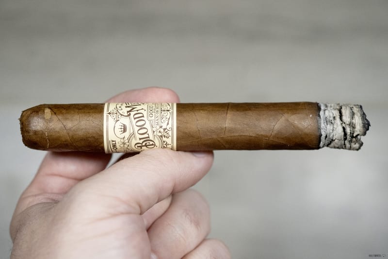 Blood Medicine Limited 2024 Image