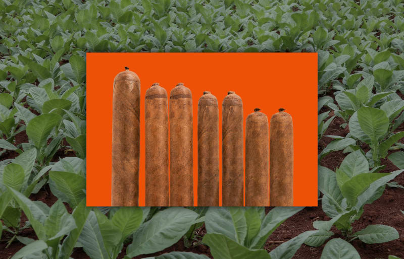 Lancero