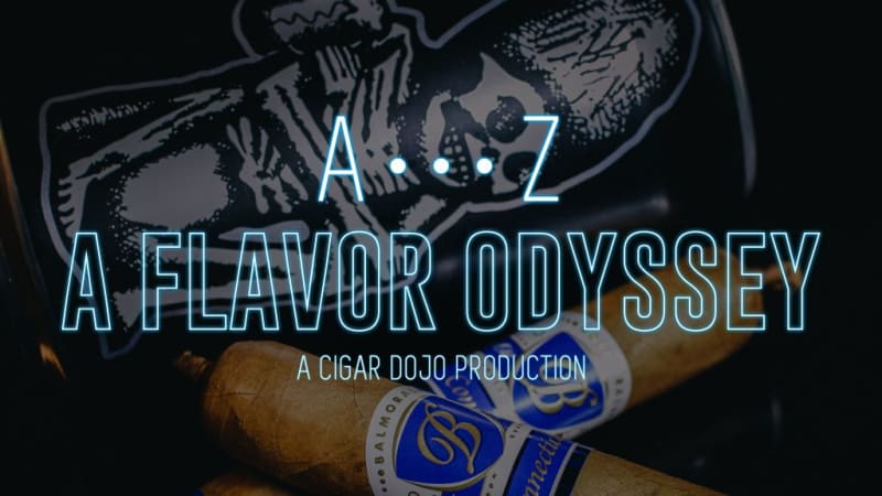 Flavor Odyssey – the Letter R Image