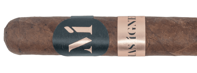 Luciano Mas Igneus Short Robusto – Blind Cigar Review Image