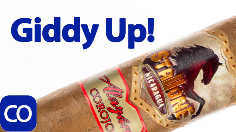 Stallone Alazan Corojo Toro Cigar Review Image
