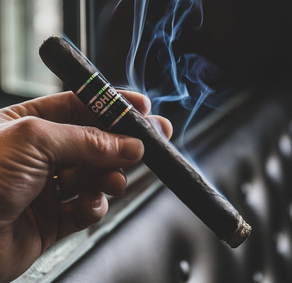 Cohiba Black
