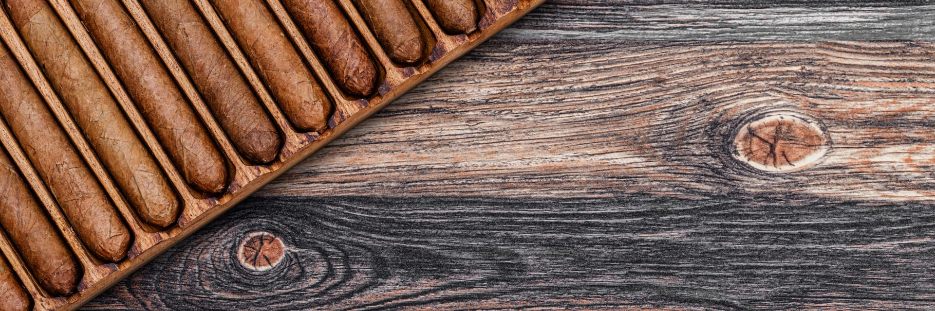 An Expert Guide To Cigar Mold Featured Image