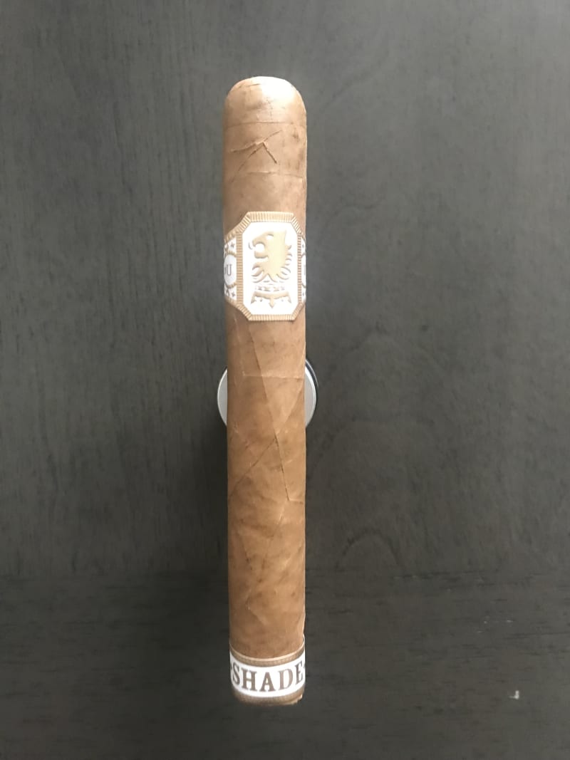 92FB179E 8329 4258 8501 24E1979E2521 v2