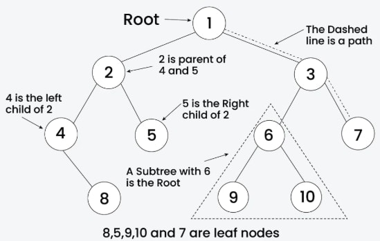 Binary Tree