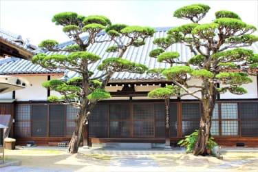綾井山清道寺