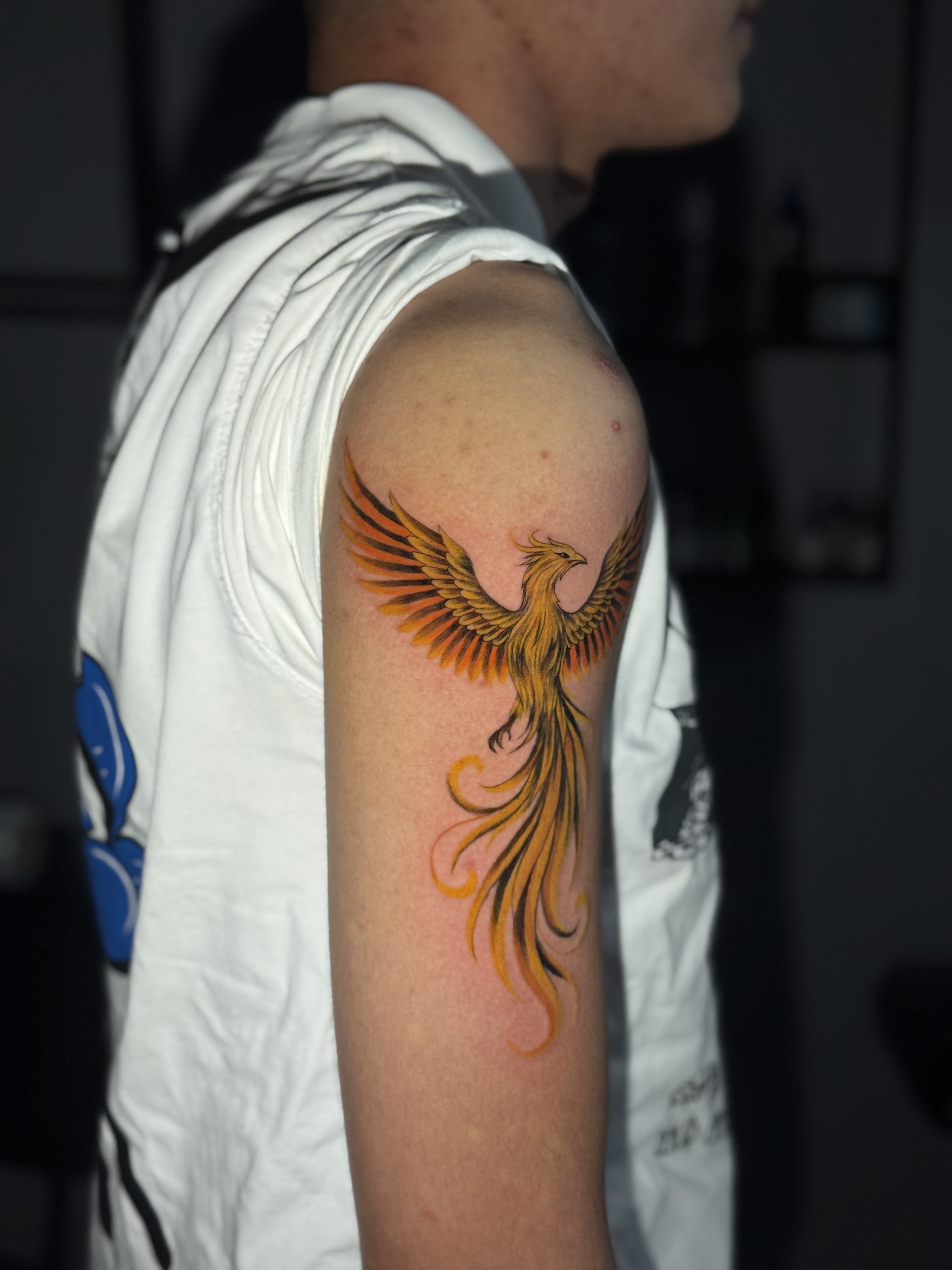 Phoenix tattoo on bicep - 2