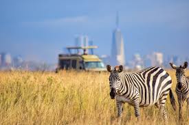Join our group tour for an affordable and exciting adventure