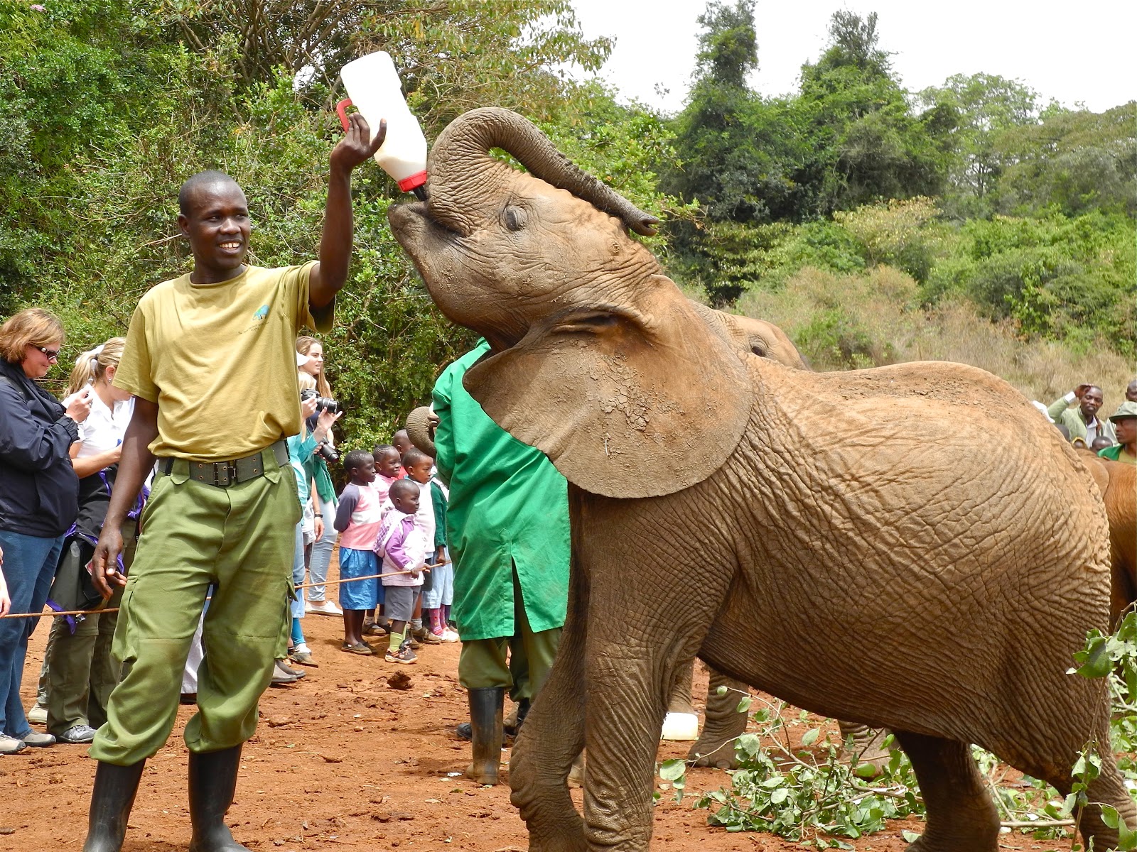 Sheldrick Elephant Orphanage