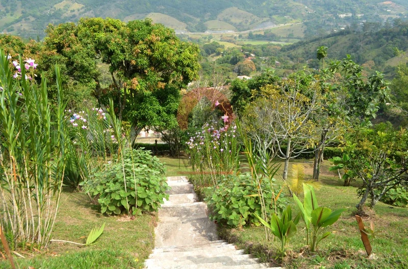 Renta de finca de recreo en Barbosa 29