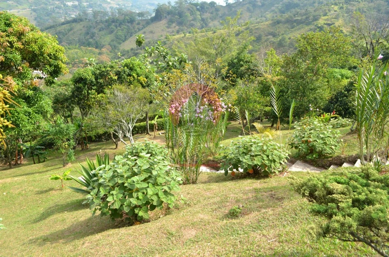 Renta de finca de recreo en Barbosa 32