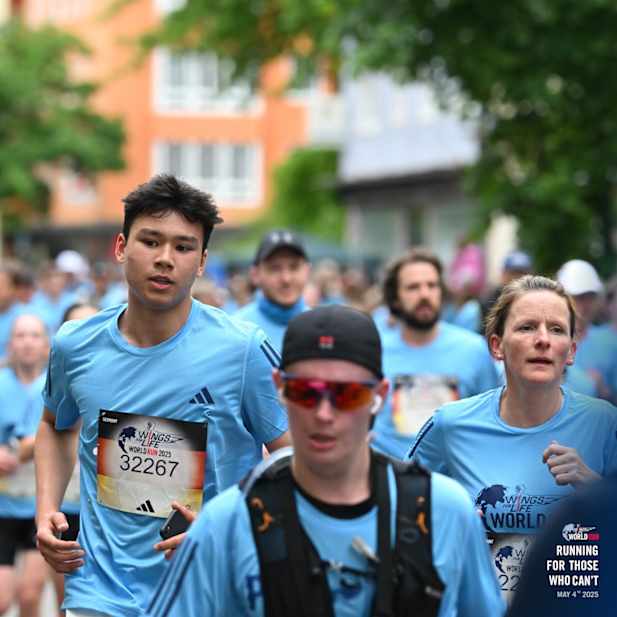 svzif6k5sdzu40v0jl9w93o5