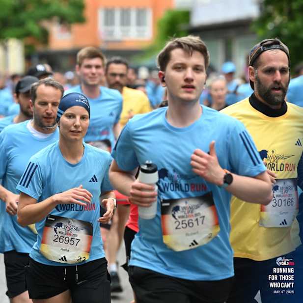 h1q3ny45ndyau39hn5hr6fpa