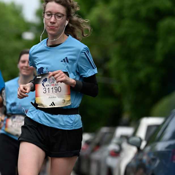 jmog5xhjh5m2gfnmxtf0aesf