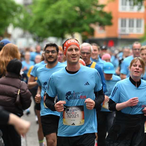 ozogwg88xctinggtd2xietsq