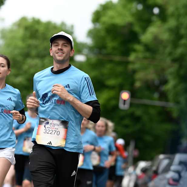 qh1qn2j44lpp4c3nrtx17edv