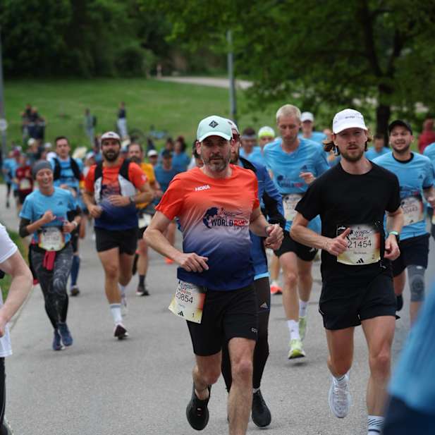 yt5g79gup6o0luulzk3k9ysf