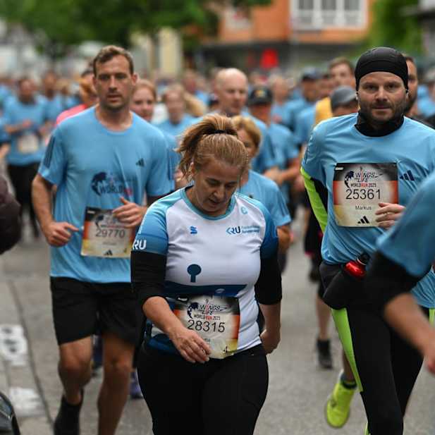 r39shgrgj2ic88w7ypo65tn6