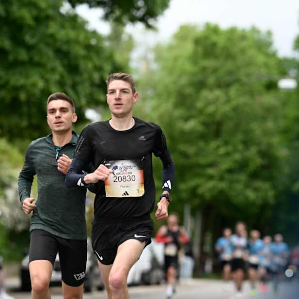 em6vxfl5zz3ittz1yfpyo9ar