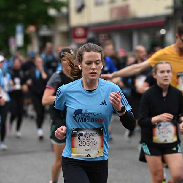 moh47svwc8o1hdbcw8h0w6nw