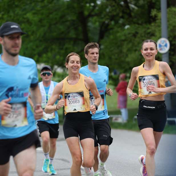 yhweayalay0sqdt6ho36ncy9