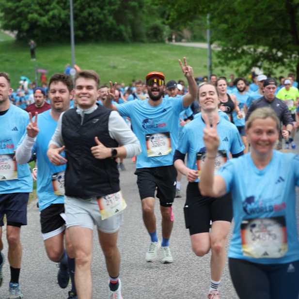 rwnuvusgj480ee8tholqcizp